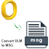 convert olm to msg