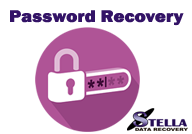 stella password recovery