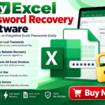 Read more about the article Buy Excel Password Recovery Software